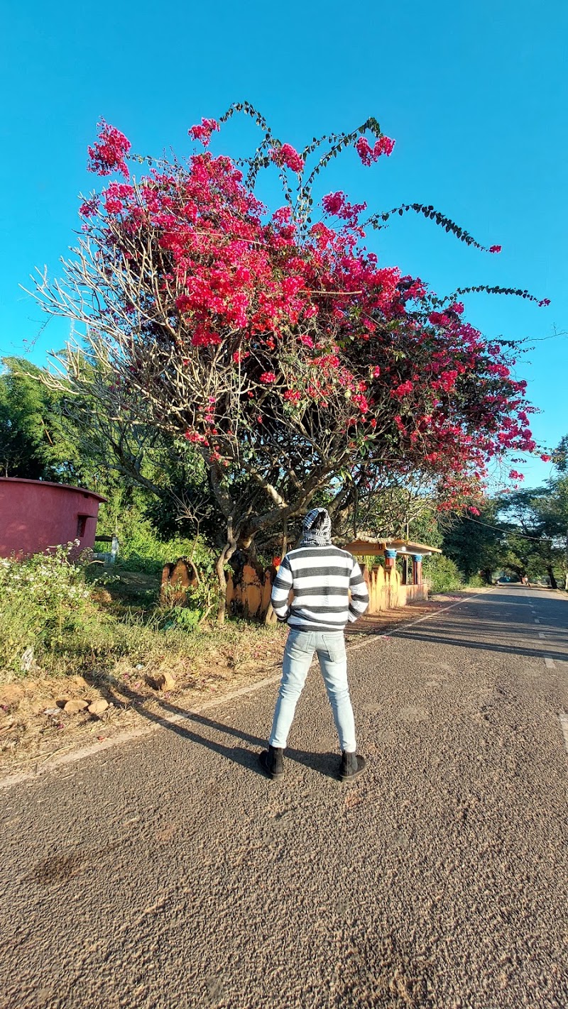 Chatiguda PO - Chatiguda PO, H8C2+F8M, Chatiaguda, Odisha 764072, India