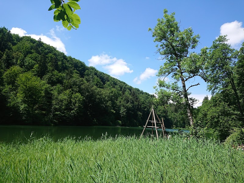 Egelsee - Egelsee Egelsee, 8962 Bergdietikon, Switzerland