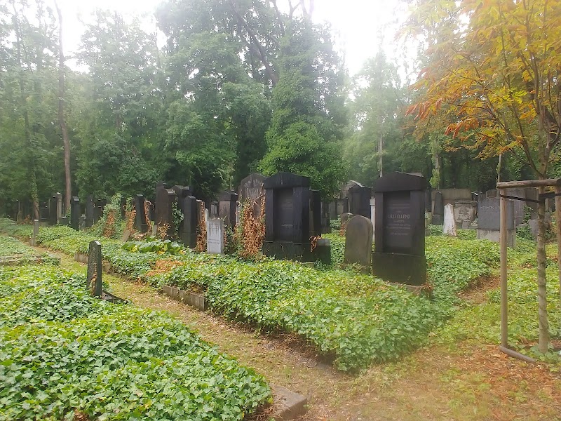 Friedhof Praha (Franz Kafka Grave) - Friedhof Praha (Franz Kafka Grave), Izraelská 1, 130 00 Praha 3, Czechia