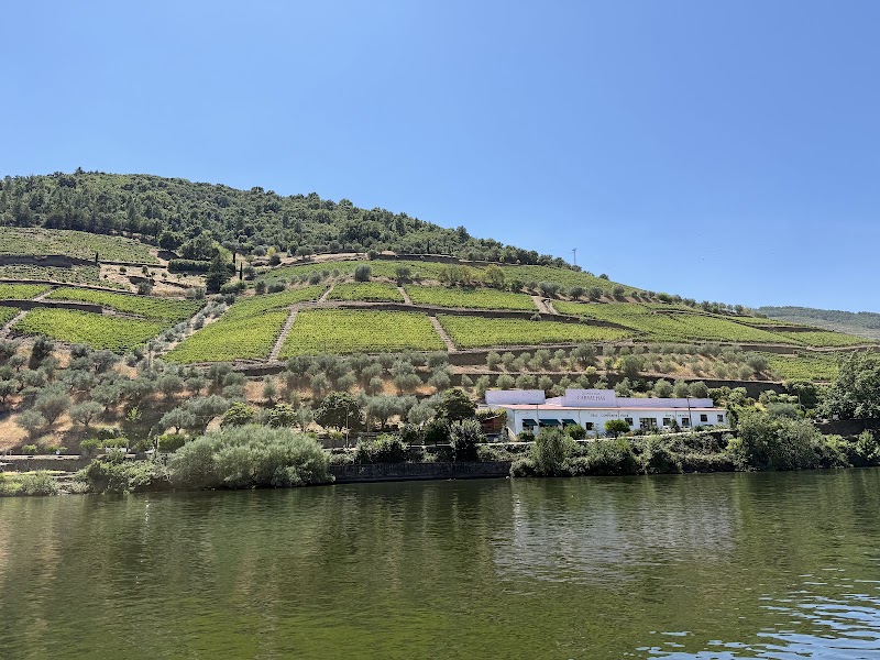 Douro Valley Wine Tours - Douro Valley Wine Tours, R. das Mimosas 4510, 4510-607 São Pedro da Cova, Portugal