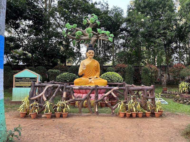 Padmapuram Gardens - Padmapuram Gardens, Padmapuram village, Arakuvalley, ITDA Paderu, 8VPH+MX6, Kantabamsuguda, Andhra Pradesh 531149, India