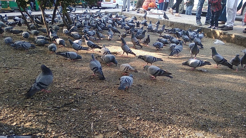 Palika Bazar - Palika Bazar Palika Bazar, Connaught Place, New Delhi, Delhi 110001, India