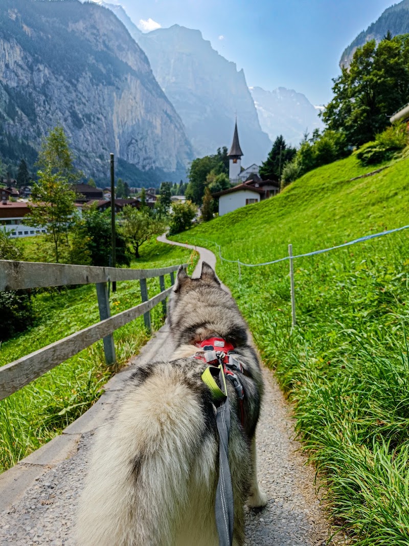 Schiltwaldbachfall - Schiltwaldbachfall Dornimaad 148A, 3823 Lauterbrunnen, Switzerland