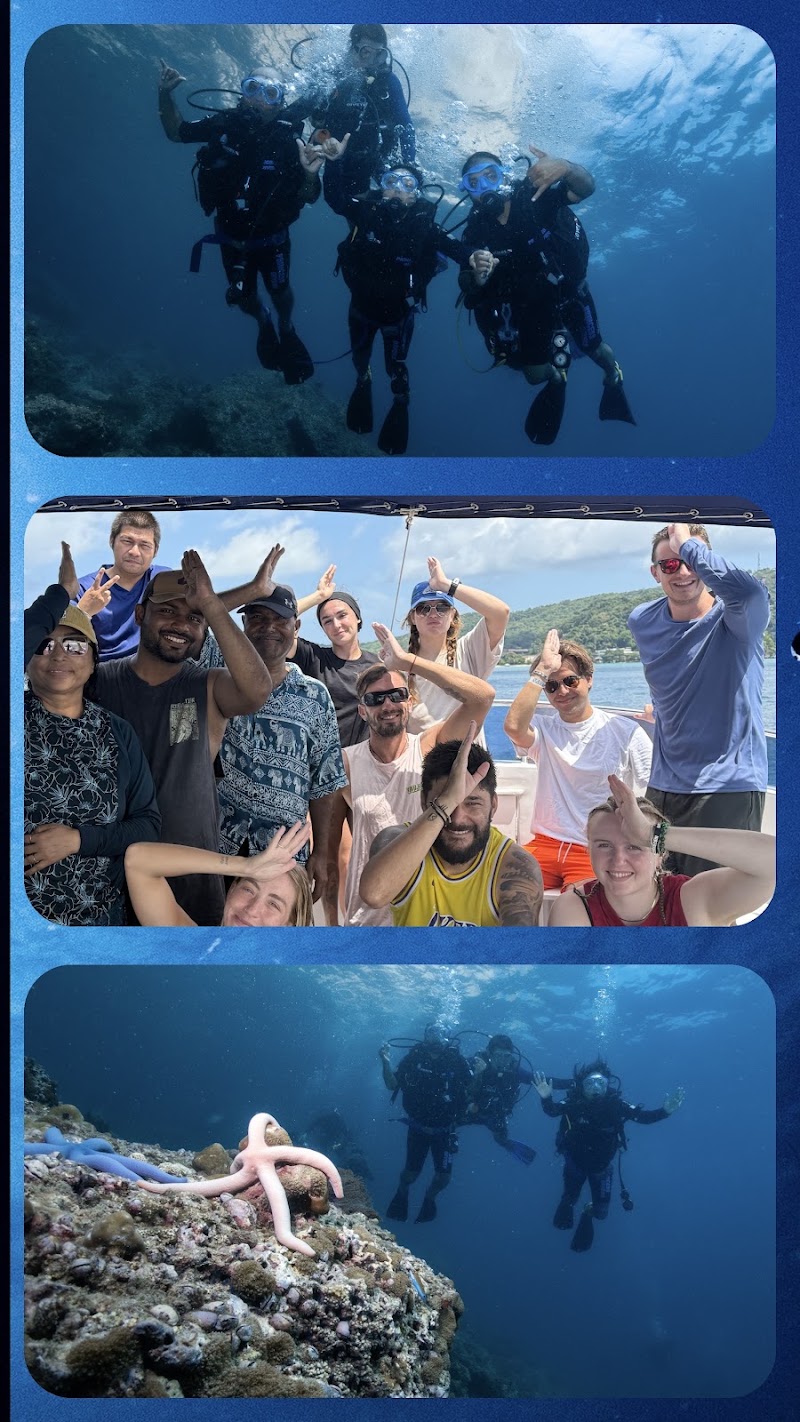 Princess Divers - Scuba Diving Phi Phi Island - Princess Divers - Scuba Diving Phi Phi Island 103 Phi Phi Island Tambon Ao Nang, Krabi Chang Wat Krabi 81000, Thailand