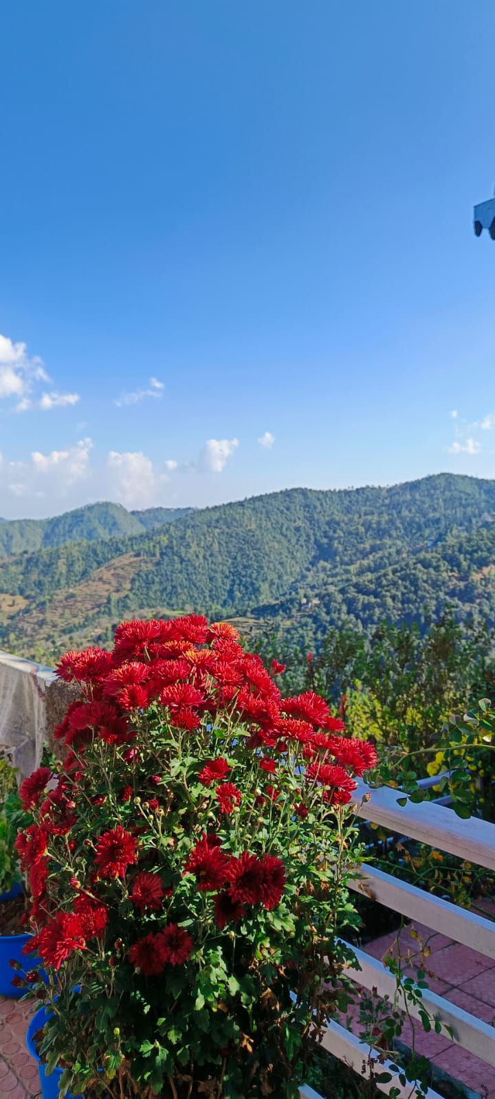 Snow View Luxury Homes - Snow View Luxury Homes Letibunga Village Trail, Mukteshwar, South Gola Range, Uttarakhand 263136, India