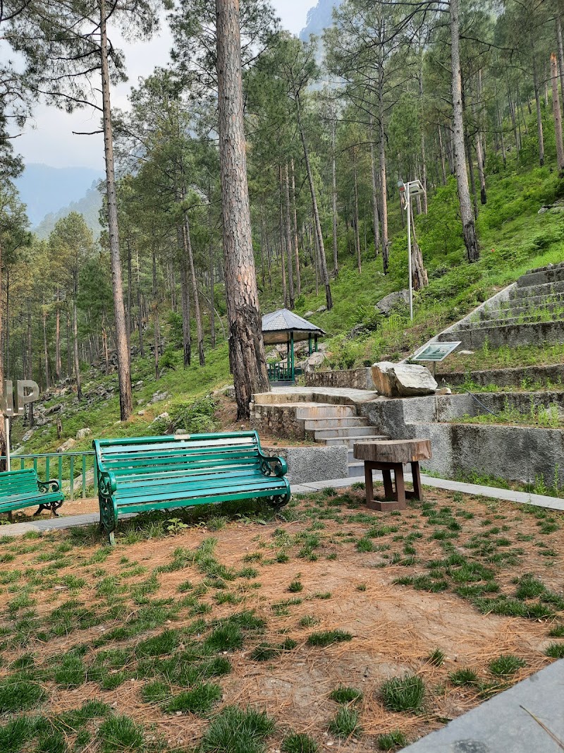 Great Himalayan National Park-Tirthan Hilltop Adventure