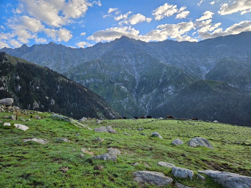 360 view cafe Triund hill - 360 view cafe Triund hill, Khanyara, Himachal Pradesh 176215, India