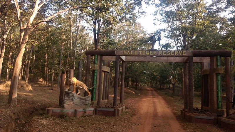 Dandeli Wildlife Sanctuary - Dandeli Wildlife Sanctuary, J.N Rd, solad complex, Dandeli, Karnataka 581325, India