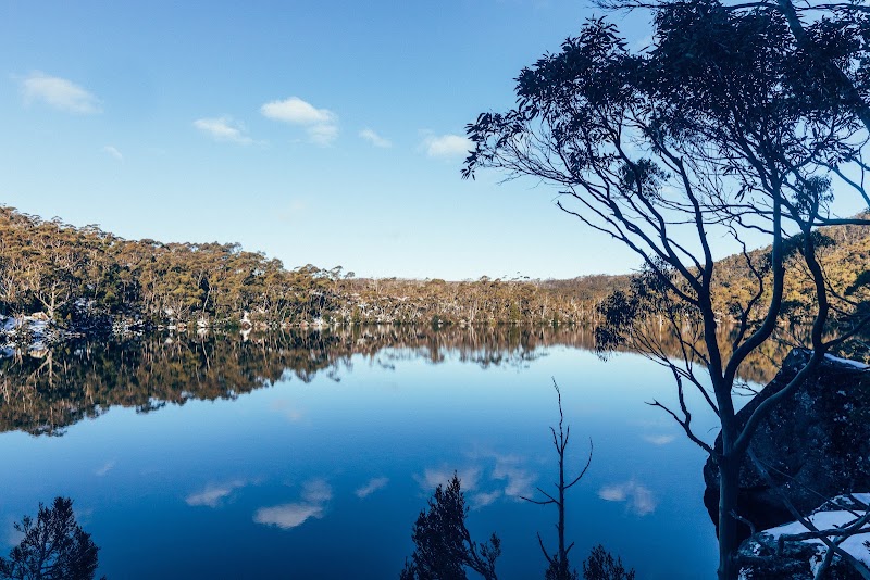 Mount Field National Park - Mount Field National Park, 66 Lake Dobson Rd, National Park TAS 7140, Australia