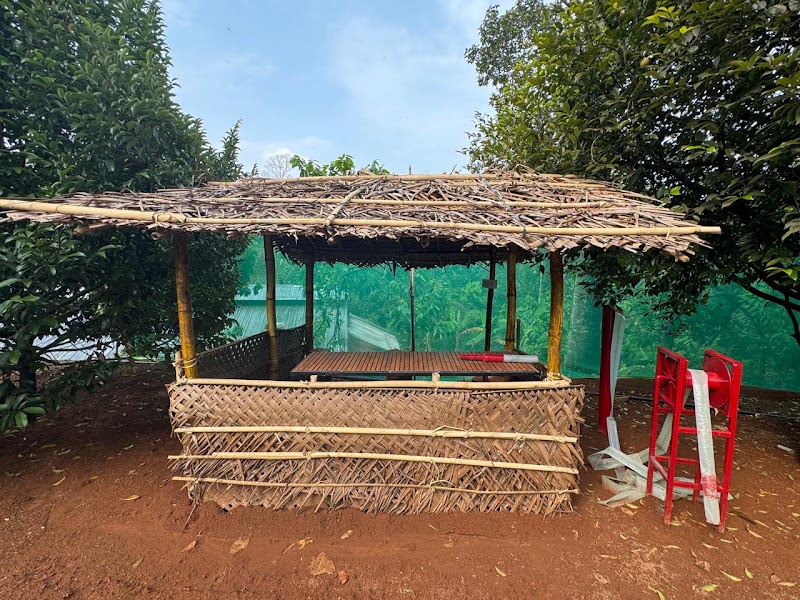 Green Hill Home Stay Munnar - Green Hill Home Stay Munnar Mezhukumchal Road, Mezhukumchal, Irumpupalam, Adimali, Chillithodu, Kerala 685561, India
