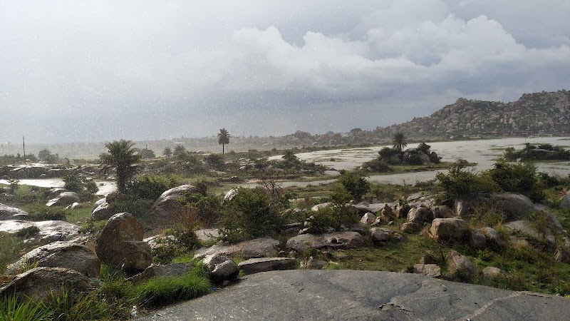 Narsapur Lake - Narsapur Lake, Vemagal-Kurugal, Karnataka