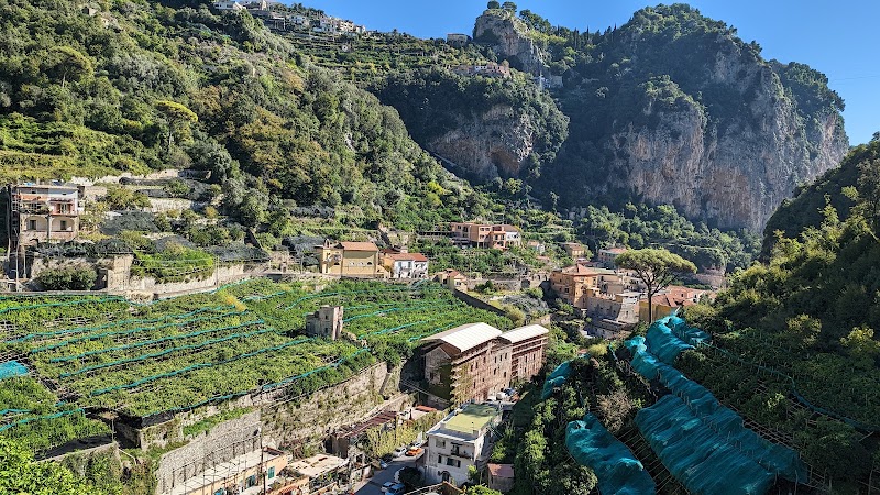 Amalfi Lemon Experience - Amalfi Lemon Experience, Via delle Cartiere, 59, 84011 Amalfi SA, Italy