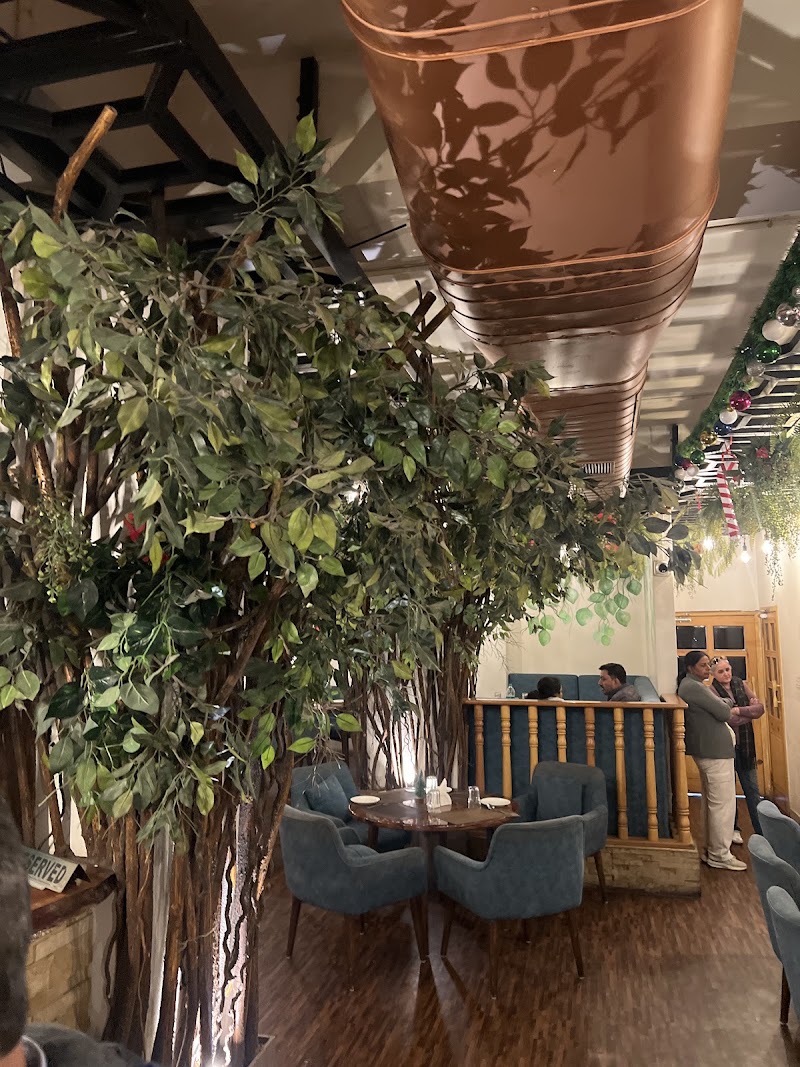 The Plant Story Restaurant - The Plant Story Restaurant 5th, The Raj, Upper, Chopasani Rd, above ICICI Bank, near 5th B Road, Agarwal Ki Bagechi, Pratap Nagar, Jodhpur, Rajasthan 342003, India
