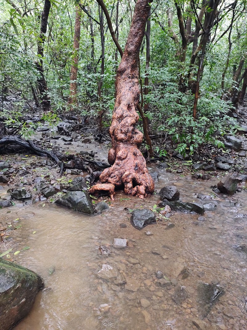 Andharban Trekking Way - Andharban Trekking Way G93X+4M, Pimpri, Maharashtra 412108, India