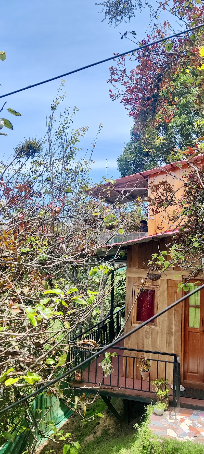 Wooden cabin 3.0 - Wooden cabin 3.0 6F8M+8R8, 2/110, Dolphin Nose Road, Vattakanal, Kodaikanal, Tamil Nadu 624101, India