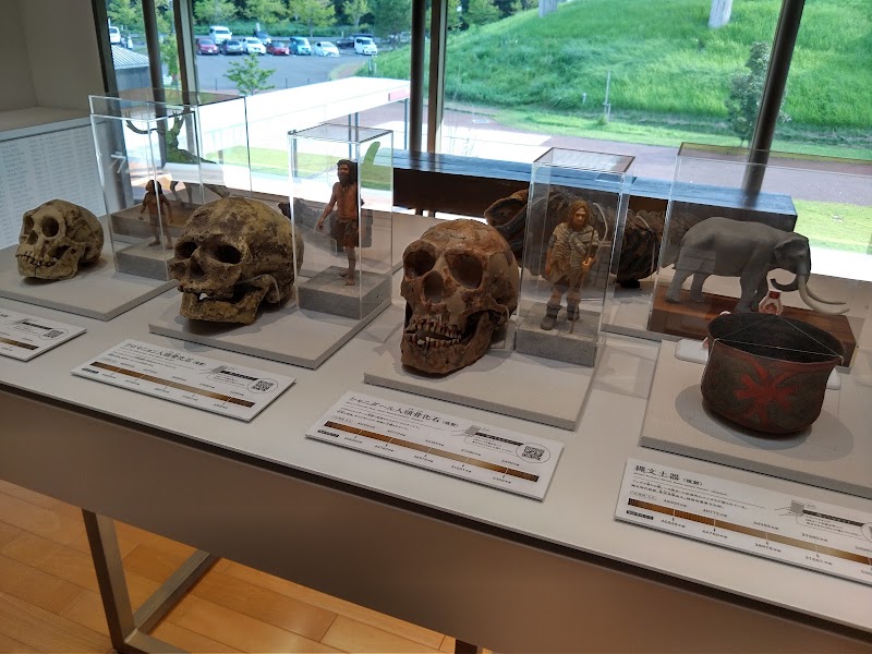Fukui Prefectural Varve Museum - Fukui Prefectural Varve Museum, Japan, 〒919-1331 Fukui, Mikatakaminaka District, Wakasa, Torihama, １２２−１２−１ 縄文ロマンパーク内