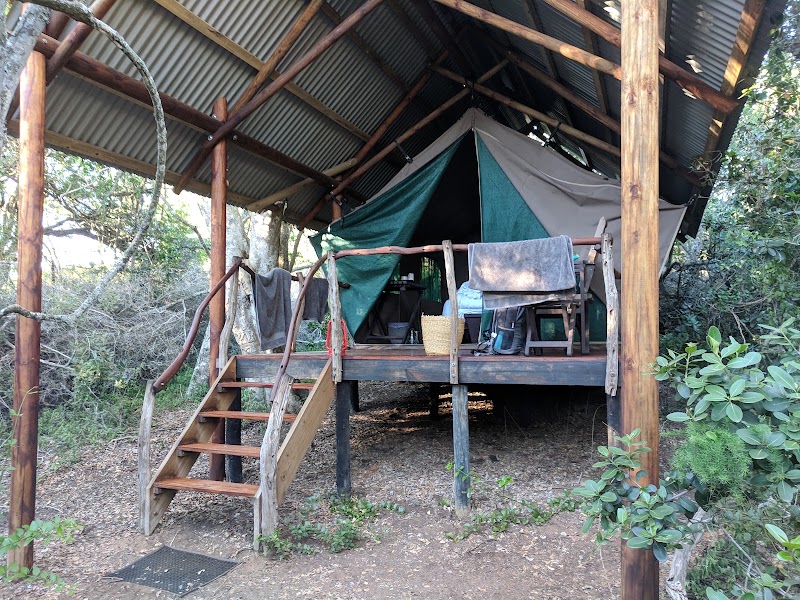 Schotia Safaris Private Game Reserve - Schotia Safaris Private Game Reserve, N 10 and Addo Heights, Ncanarha, 6130, South Africa