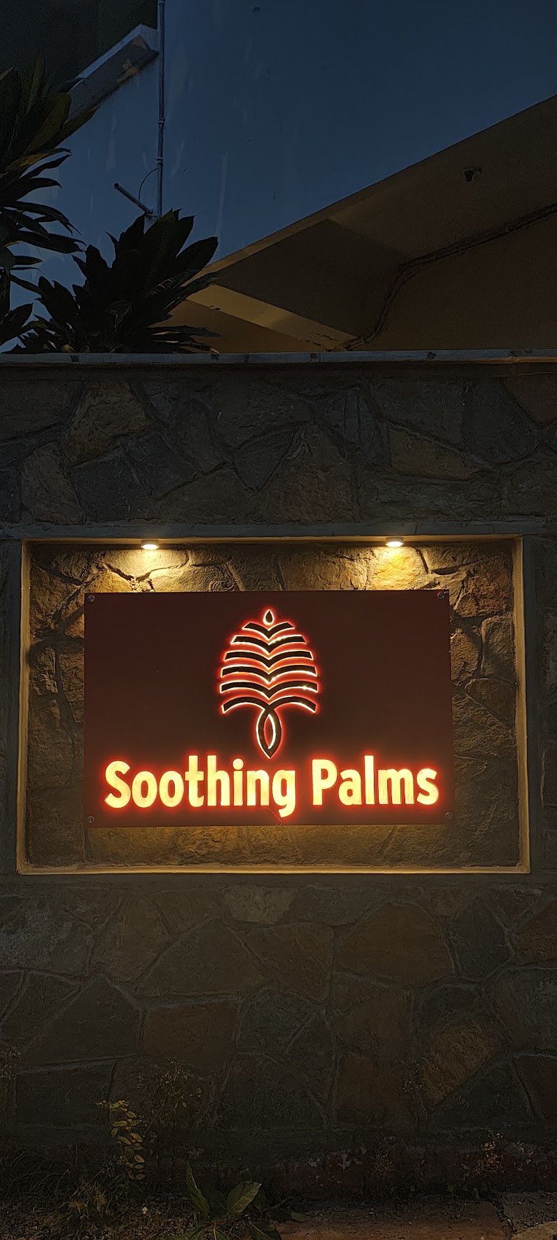 Soothing Palms - Soothing Palms Soothing Palms by Sajjan Niwas, 141/53, adjoining Chaturbagh Restaurant, Sardarpura, Udaipur, Rajasthan 313001, India