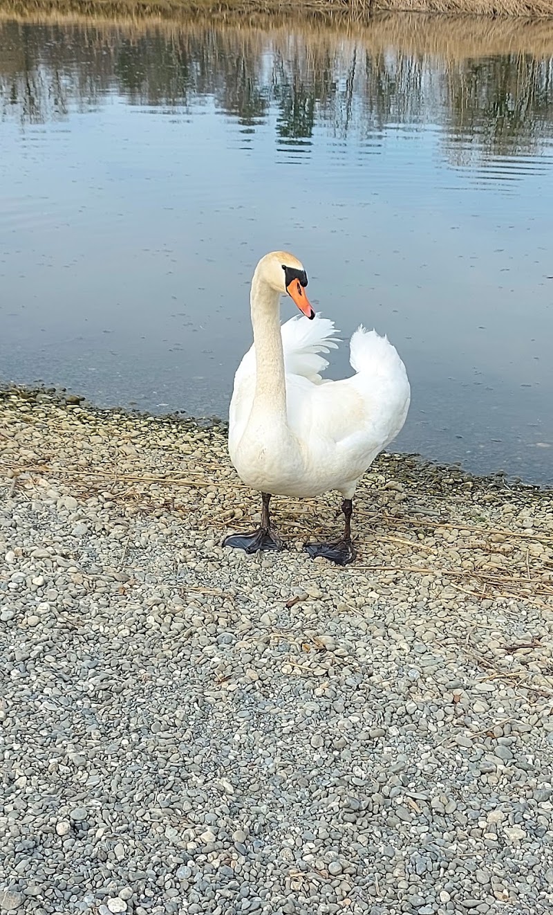 Campingplatz Idyll - Campingplatz Idyll Mennstrasse 2, 9423 Thal, Switzerland