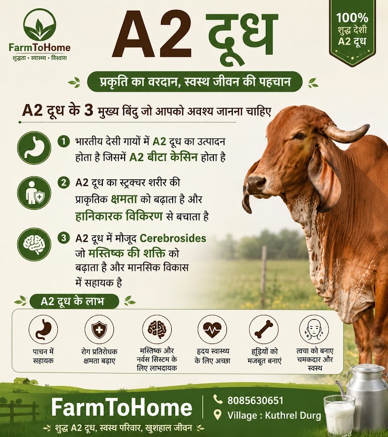 FarmtoHome Dairy - FarmtoHome Dairy, Kuthrel, Chhattisgarh 491221, India