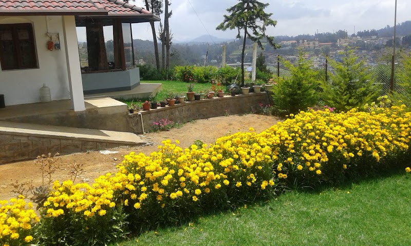 Norsu Stays Near Rose Garden - Norsu Stays Near Rose Garden 133D, Davis Dl, Davisdale, Ooty, Tamil Nadu 643001, India