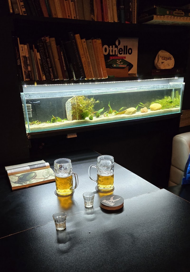 Symbiont Pub - Symbiont Pub Elišky Peškové 79/9, 150 00 Praha 5-Smíchov, Czechia