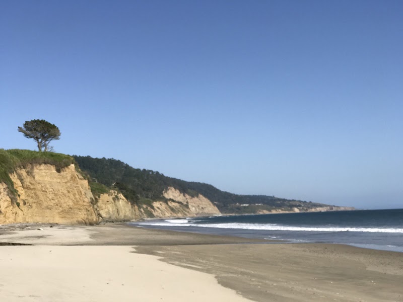 Año Nuevo State Park - Año Nuevo State Park 1 New Years Creek Rd, Pescadero, CA 94060, USA