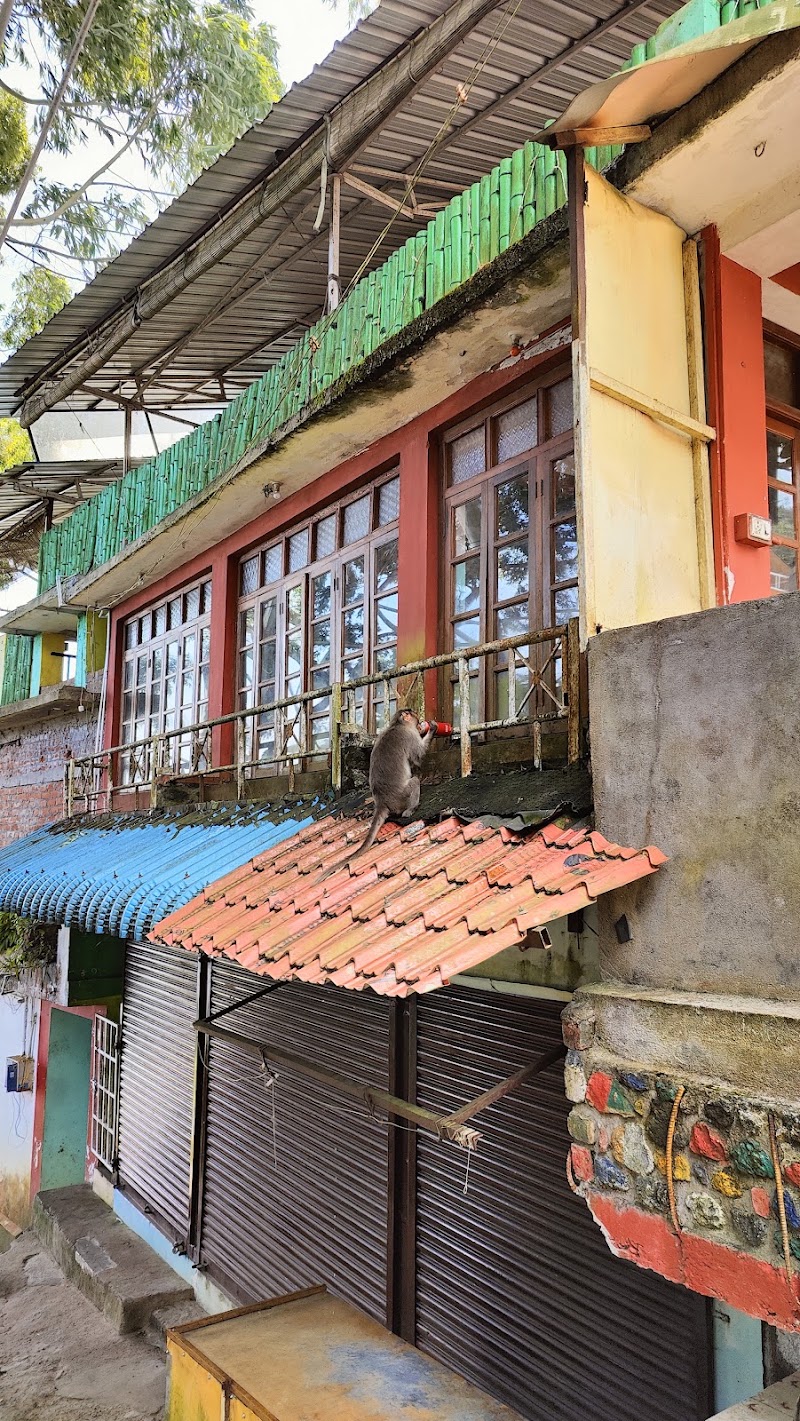 Maria Cafe - Maria Cafe 6F7P+W4Q, Unnamed Road, Vattakanal, Kodaikanal, Tamil Nadu 624101, India