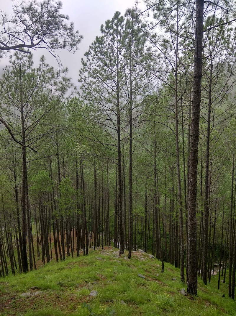 Jaiharikhal - Jaiharikhal, Uttarakhand 246193, India