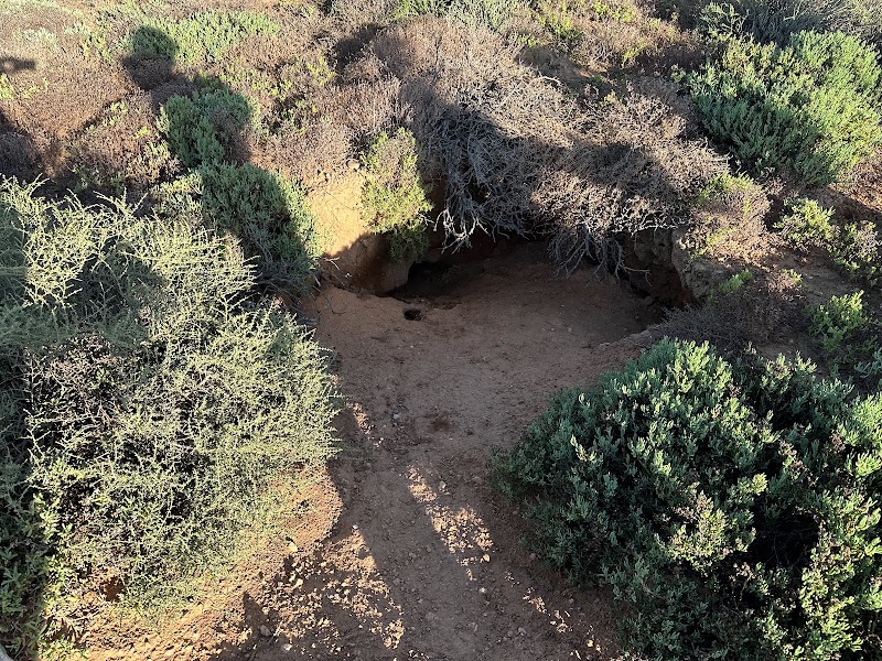 Meerkat Adventures - Meerkat Adventures, R62, Oudtshoorn, 6625, South Africa