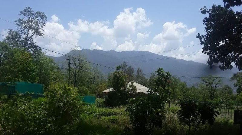Om Shanti Home Stay - Om Shanti Home Stay, Swami, Near, Dayanand Rd, Muni Ki Reti, Rishikesh, Uttarakhand 249137, India
