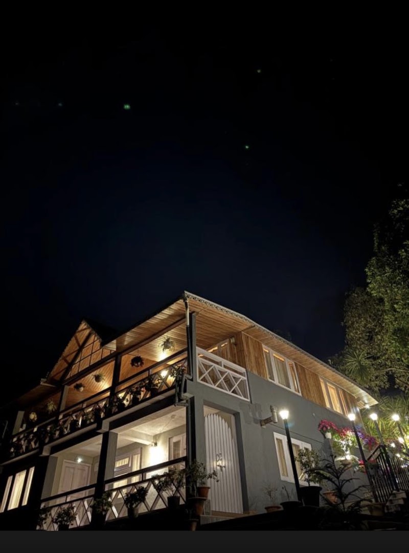 Pine Forest Retreat