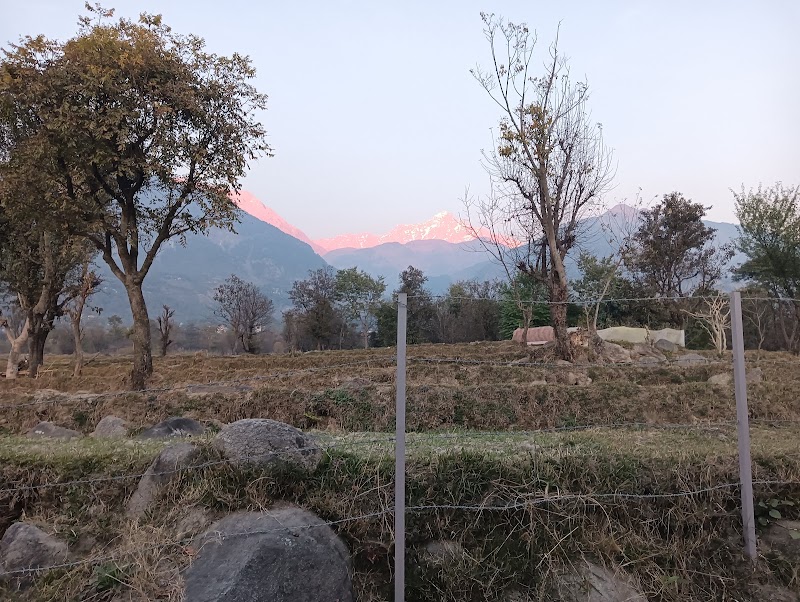 Pala Dharamshala - Pala Dharamshala near NORBULINGKA, Sidhpur, Dharamshala, Himachal Pradesh 176215, India