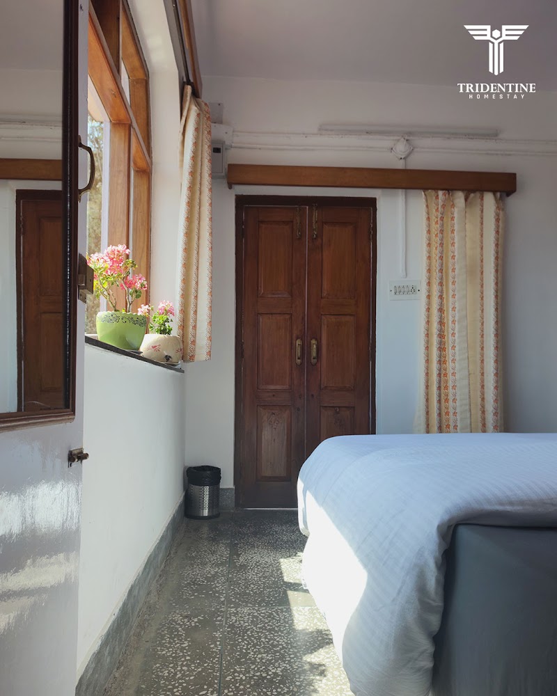 Tridentine Homestay Mussoorie - Tridentine Homestay Mussoorie Studio Lodge, Kulri Bazaar, The Mall Road, Mussoorie, Uttarakhand 248179, India
