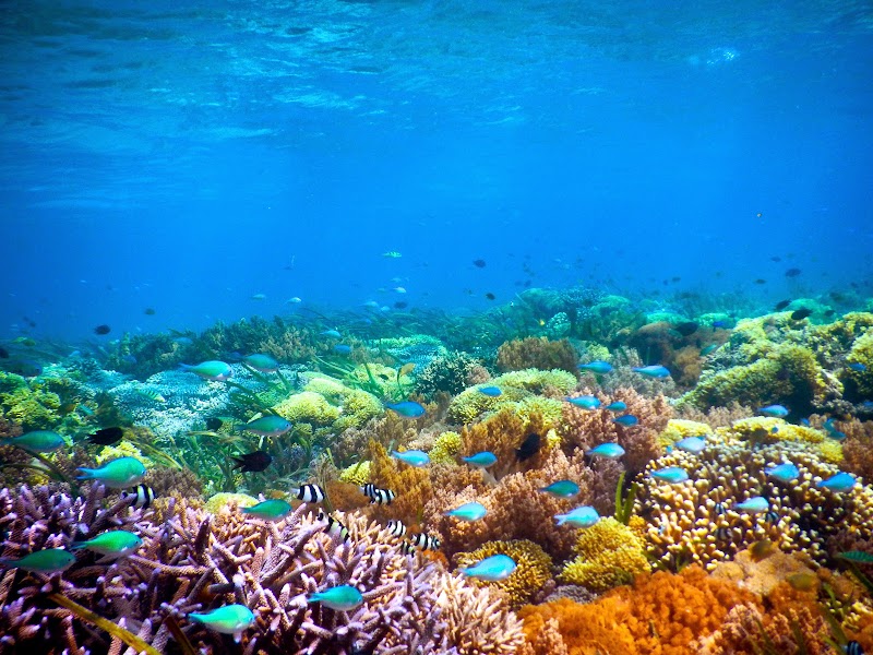 Gili Trawangan - Gili Trawangan Gili Trawangan, Gili Indah, Pemenang, North Lombok Regency, West Nusa Tenggara, Indonesia
