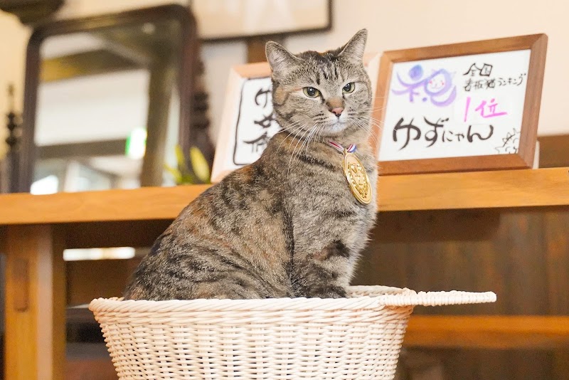 Kannawa Yunoka - Kannawa Yunoka Japan, 〒874-0041 大分県別府市御幸