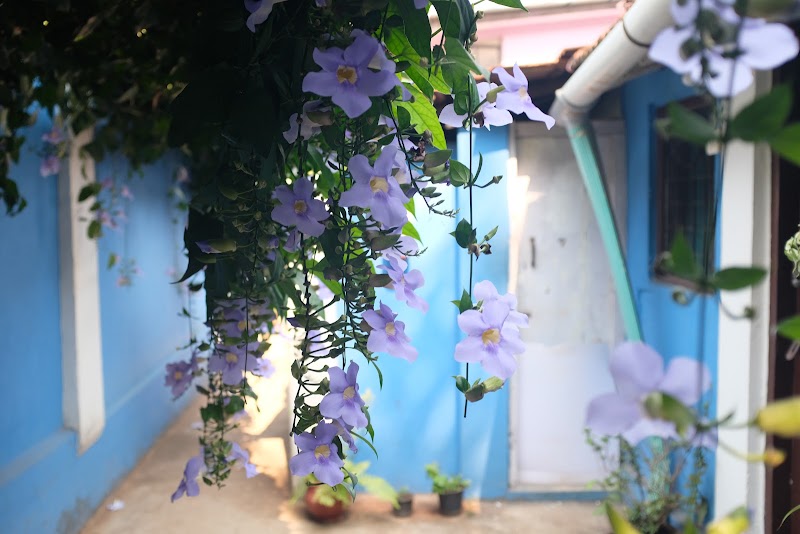 Villa Khatun Guest House - Villa Khatun Guest House Mala Portias Near Bambolkar Building, Chemist, opposite Cleona, Altinho, Panaji, Goa 403001, India