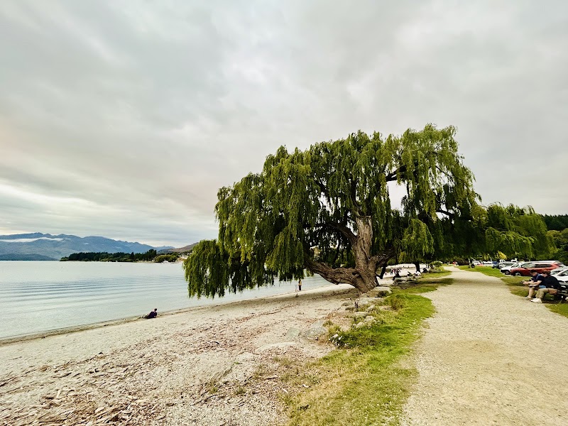 Wānaka Township - Wānaka Township, 163 Ardmore Street, Wānaka 9305, New Zealand