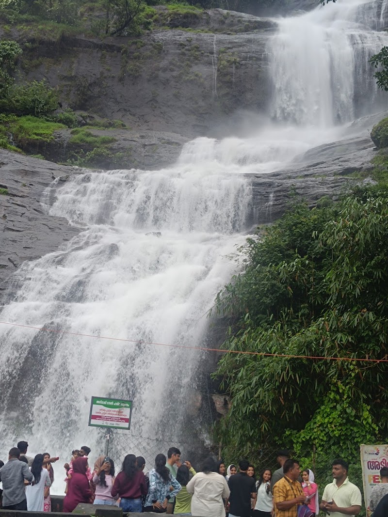 Munnar Tourist Places - Munnar Tourist Places Factory Division, Pallivasal, Estate, Munnar, Pallivasal, Kerala 685565, India