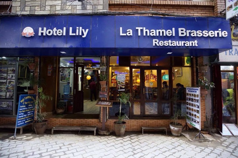Hotel Lily Pvt.Ltd. - Hotel Lily Pvt.Ltd. Z Street, Kathmandu 44600, Nepal