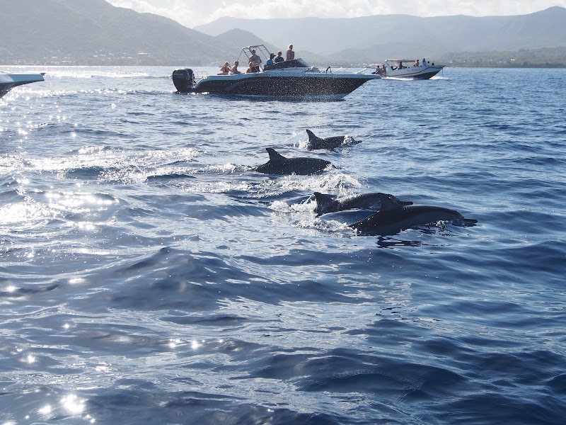 Baie du Tamarin - Baie du Tamarin, Mauritius
