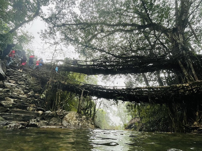 SOHKHA MISSION LIVING ROOT BRIDGE - SOHKHA MISSION LIVING ROOT BRIDGE 627P+87G, Sohkha Shnong, Meghalaya 793109, India