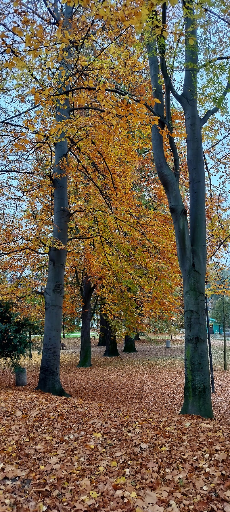 Park Háječek - Park Háječek, 370 01 České Budějovice-České Budějovice 1, Czechia