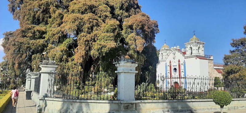 Centro - Centro Centro, Oaxaca, Mexico