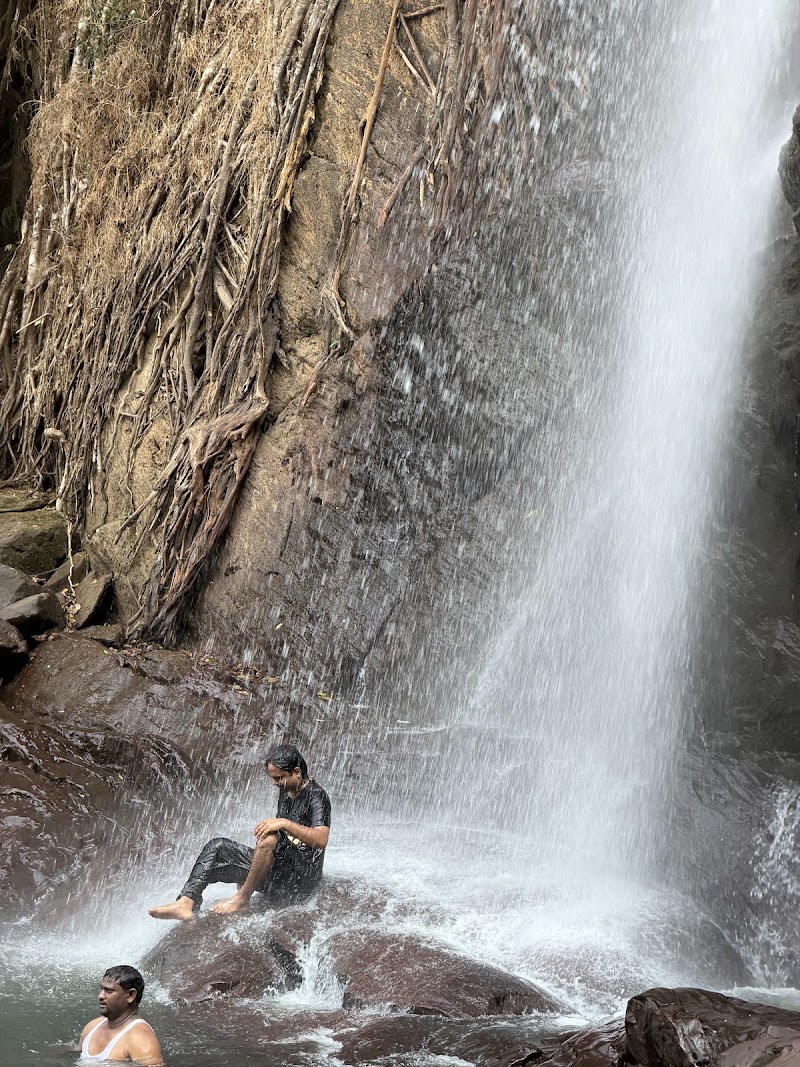 Soochipara Waterfalls - Soochipara Waterfalls Elavayal, Vellarimala, Kerala 673577, India