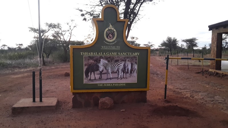Tshabala Game Sanctuary - Tshabala Game Sanctuary, QH5C+QX3, Matopos Rd, Bulawayo, Zimbabwe
