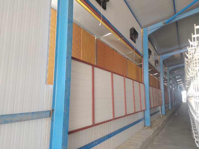 RM GROUP OF SUNRISE ROOSTER FARM - RM GROUP OF SUNRISE ROOSTER FARM, Shop No. 57, A & B, Junwani Rd, Smriti Nagar, Bhilai, Chhattisgarh 490020, India