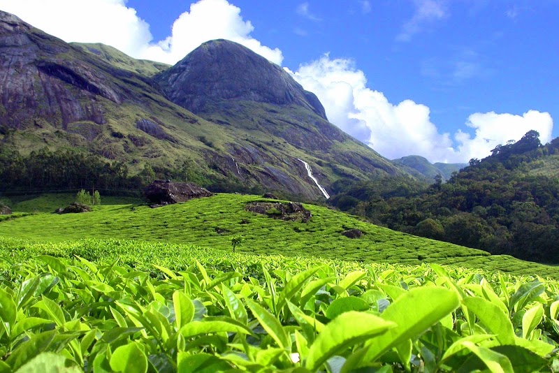 Love And Peace Holiday Planner Munnar