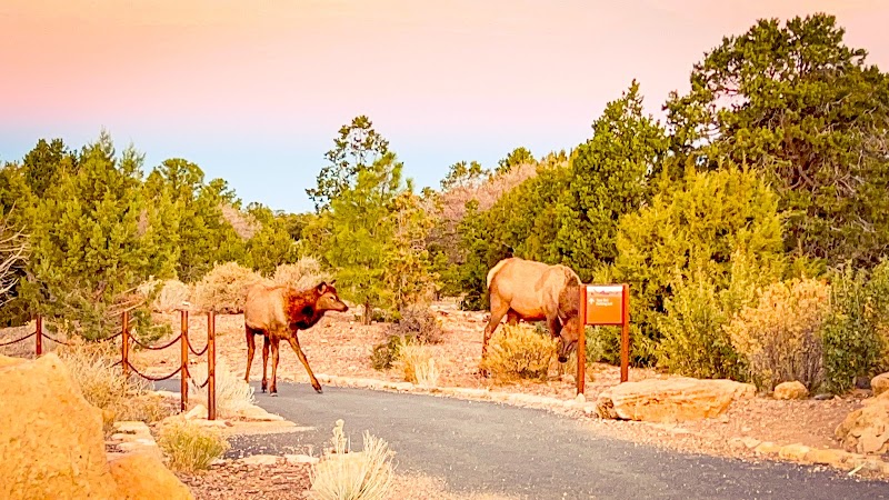 Yavapai Café - Yavapai Café, 11 Yavapai Lodge Rd, Grand Canyon Village, AZ 86023, USA