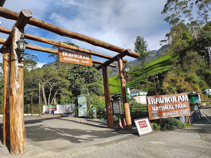 Eravikulam National Park - Eravikulam National Park Kannan Devan Hills, Kerala 685612, India